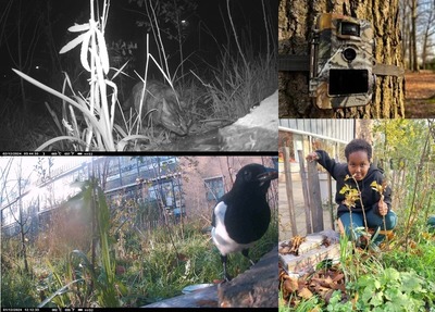 241218 Parels van Sdam Winterslaaphuisje Code Groen educatie